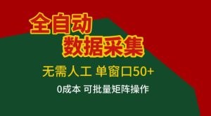 全自动数据采集，无需人工，单窗口50+，0成本可批量矩阵操作【揭秘】-520资源库