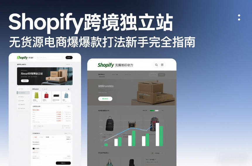 Shopify跨境独立站无货源电商爆款打法新手完全指南-520资源库