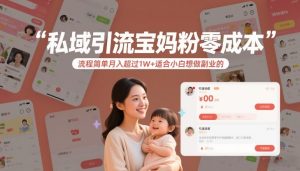 私域引流宝妈粉零成本流程简单月入超过1W+适合小白想做副业的-520资源库