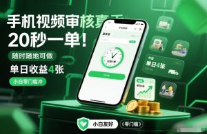 手机视频审核真香！20秒一单，随时随地可做，单日收益4张，小白零门槛冲【揭秘】-520资源库