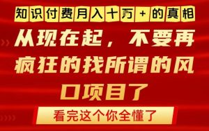 知识付费月入10个W的真相，做网创项目这一个就够了，不要再疯狂的找所谓的风口项目【揭秘】-520资源库