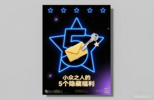 付费文章：小众之人的5个隐藏福利-520资源库