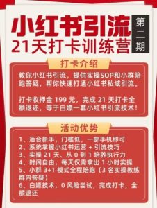 小红书引流21天打卡训练营第二期，助你快速打通小红书私域引流打粉-520资源库