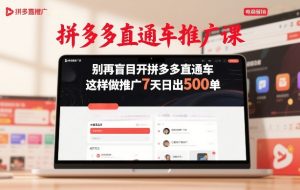 拼多多直通车推广课，别再盲目开拼多多直通车，这样做推广7天日出500单-520资源库