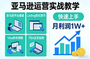 亚马逊运营实战教学，亚马逊平台+Listing优化+Vine秒杀+FBA发货等，快速上手，实现店铺月利润1W-520资源库
