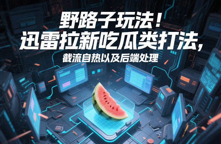 野路子玩法！迅雷拉新吃瓜类打法，截流自热以及后端处理-520资源库