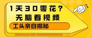 1天30零花？无脑看视频，大佬亲自揭秘-520资源库
