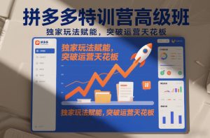 拼多多特训营高阶班，独家玩法赋能，突破运营天花板（更新26年2月）-520资源库