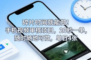 碎片时间就能做！手机视频审核项目，20秒一单，随时随地可做，单日4张+【揭秘】-520资源库