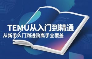TEMU从入门到精通，从新手入门到进阶高手全覆盖-520资源库