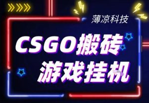 CSGO游戏挂G游戏搬砖最新升级，普通小白一部手机可日入3张+当天见结果，支持验证【揭秘】-520资源库