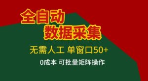 全自动数据采集项目，无需人工，单窗口可达50+收益，操作简单无难度，一个人也能轻松实现矩阵【揭秘】-520资源库