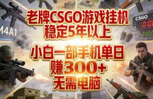 老牌CSGO游戏挂G，稳定5年以上，小白一部手机单日賺3张+，无需电脑【揭秘】-520资源库