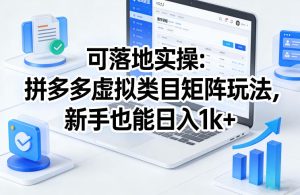 可落地实操：拼多多虚拟类目矩阵玩法，新手也能日入1k+【揭秘】-520资源库