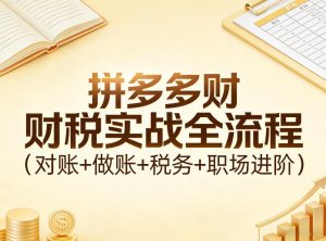 拼多多财税实战全流程（对账+做账+税务+职场进阶）-520资源库