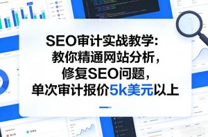 SEO审计实战教学：教你精通网站分析，修复SEO问题，单次审计报价5k美元以上-520资源库