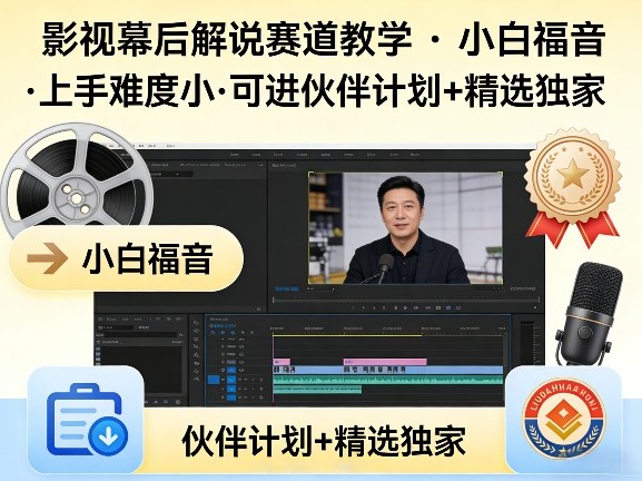某大佬的影视幕后解说赛道教学，小白福音，上手难度小，可进伙伴计划+精选独家-520资源库