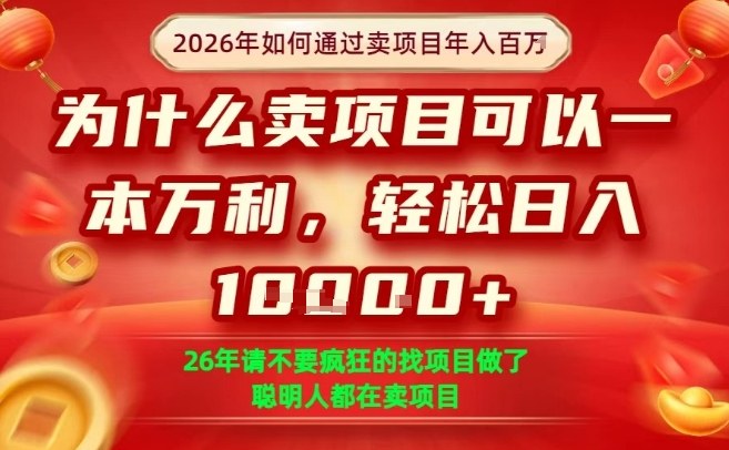 一单净利润1K+，26年想年入100个W，死磕卖项目就够了【揭秘】-520资源库