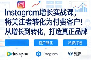 Instagram增长实战课，将关注者转化为付费客户！从增长到转化，打造真正品牌（双语字幕）-520资源库