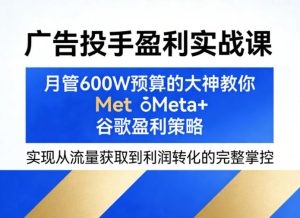 广告投手盈利实战课,月管600W预算的大神教你Meta+谷歌盈利策略,实现从流量获取到利润转化的完整掌控-520资源库
