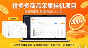 拼多多商品信息全自动采集项目，批量可矩阵，单机轻松日入300+，无需云机一台电脑开干【揭秘】-520资源库