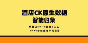 酒店CK原生数据智能归集，单窗口60+可矩阵0人工，2026必做蓝海小众项目【揭秘】-520资源库