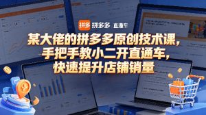 某大佬的拼多多原创技术课，手把手教小二开直通车，快速提升店铺销量-520资源库