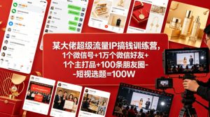 某大佬超级流量IP搞钱训练营，1个微信号+1万个微信好友+1个主打品+100条朋友圈-短视选题=100W-520资源库