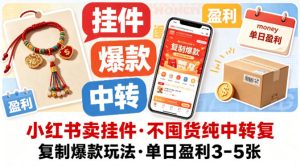 小红书卖挂件，不囤货纯中转复制爆款玩法，单日盈利3-5张-520资源库