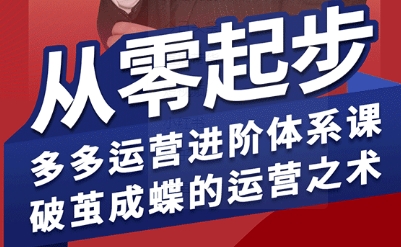 拼多多运营进阶系统课，从零起步，多多运营进阶体系课，破茧成蝶的运营之术（更新26年4月）-520资源库