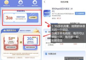 手机流量领取推广_每月一轮，刚需类的长期项目-520资源库