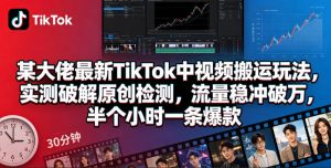 某大佬最新TikTok中视频搬运玩法，实测破解原创检测，流量稳冲破万，半个小时一条爆款-520资源库