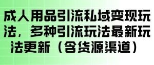 成人用品引流私域变现玩法，多种引流玩法最新玩法，操作简单（含货源渠道）-520资源库