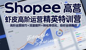Shopee虾皮高阶运营精英特训营，高阶运营技巧+流量提升+转化率优化，助你业绩翻倍（更新26年5月）-520资源库