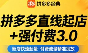 拼多多直线起店+强付费3.0，教你稳定起店、高效控投产、破解流量瓶颈（更新4月）-520资源库