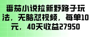 番茄小说拉新野路子玩法，无脑怼视频，玩法简单、见效快，每单10米，40天收益27950-520资源库