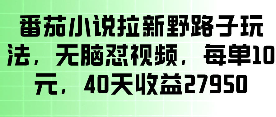 番茄小说拉新野路子玩法，无脑怼视频，玩法简单、见效快，每单10米，40天收益27950-520资源库
