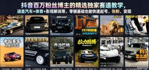 抖音百万粉丝博主的精选独家赛道教学，涵盖汽车+体育+影视解说等，零基础也能快速起号、涨粉、变现-520资源库