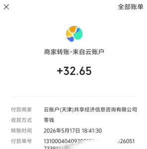 微信游戏撸广独家玩法,今天做明天就能出收益,单号日收益20+,可多号矩阵放大-520资源库
